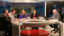 Consideratii asupra IMM-urilor si profesiilor liberale, in relatia cu Fiscul – extrase dintr-o conversatie din emisiunea “X-Press” (B1 TV, 28 mai 2015)